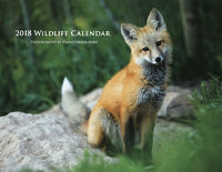 2018 Wildlife Calendar now available!