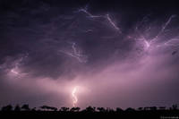 Lightning in the Bush print
