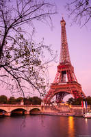 The Eiffel Tower print
