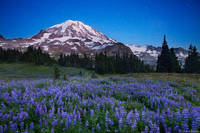 Twilight on Mt. Rainier