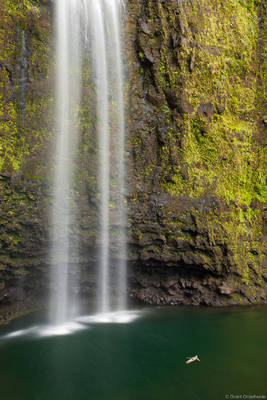 Swimming under Hanakapi'ai falls