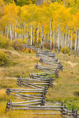 Aspen Fence