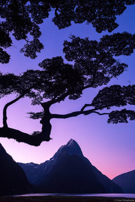 Milford Sound Sunset