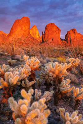 Kofa Sunset