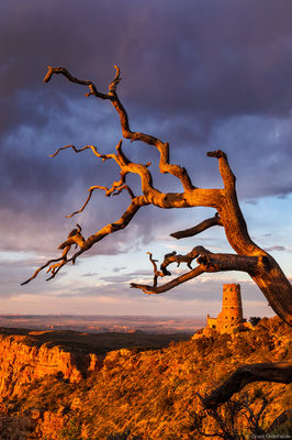 Desert View Watchtower 