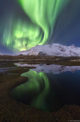 Lofoten Aurora Reflection