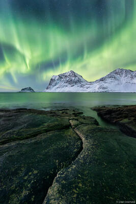 Vik Aurora