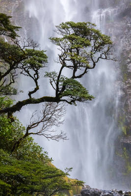 Devils Punchbowl Falls