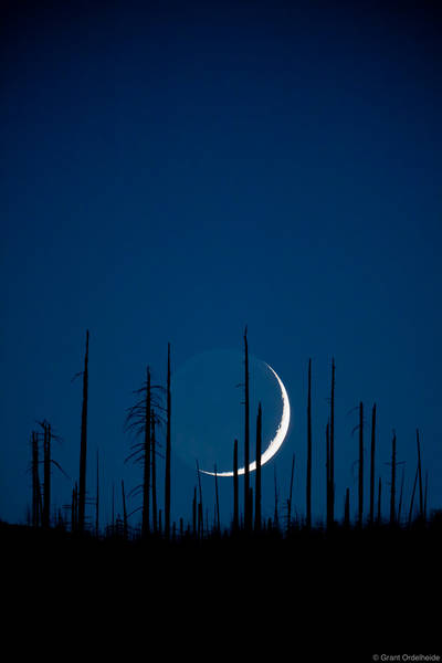 Crescent Moonset