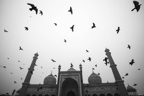 Pigeon Mosque