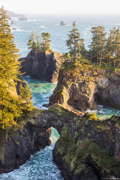 Oregon Coast