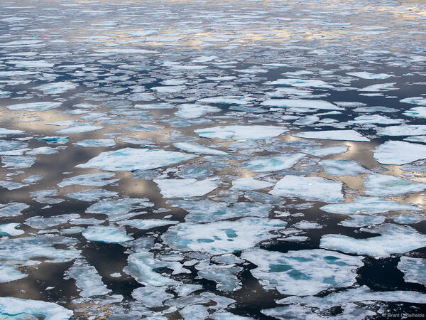 Sea Ice