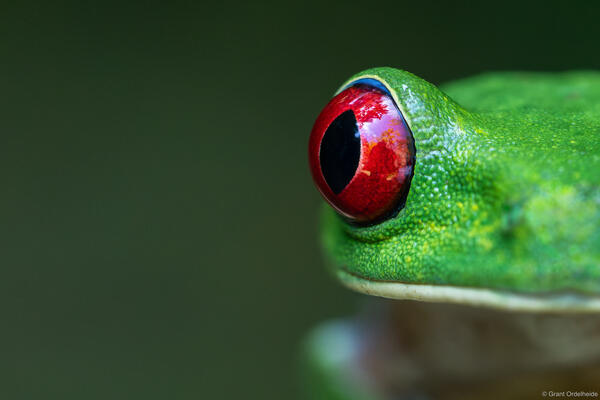 Costa Rica