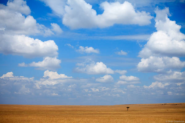 The Open Mara