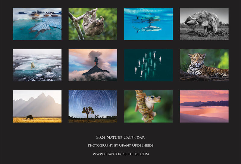 2024 Nature Calendar