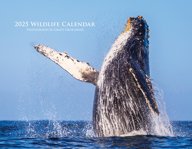2025 Wildlife Calendar