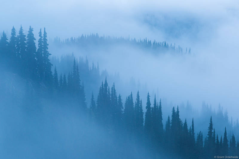 Olympic Fog
