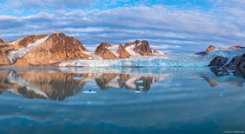 Bearded Seal Pano