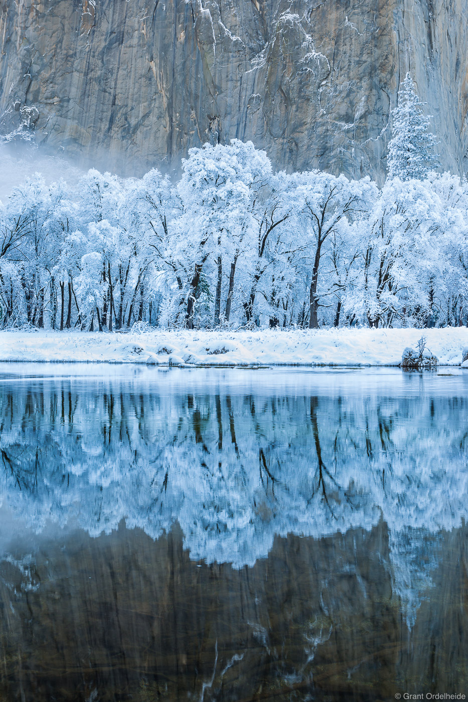 Frosted trees along the Merced River in Yosemite Valley.