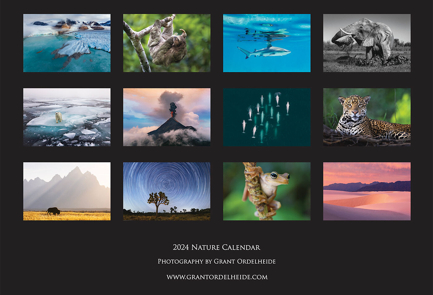 2024 Nature Calendar Grant Ordelheide Photography