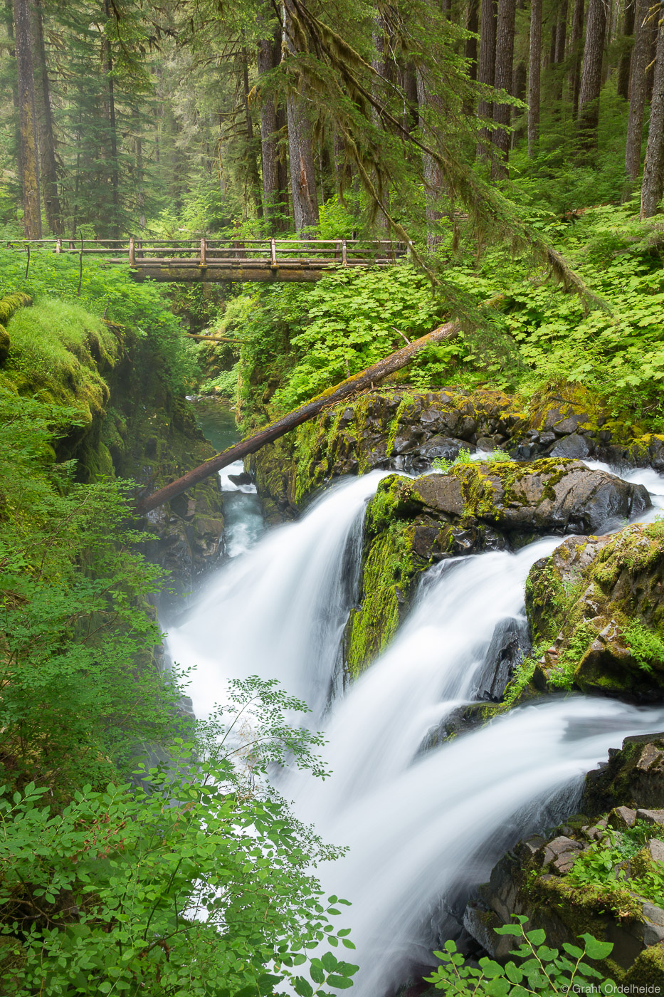 Sol Duc Falls in Washington's Olympic National Park.