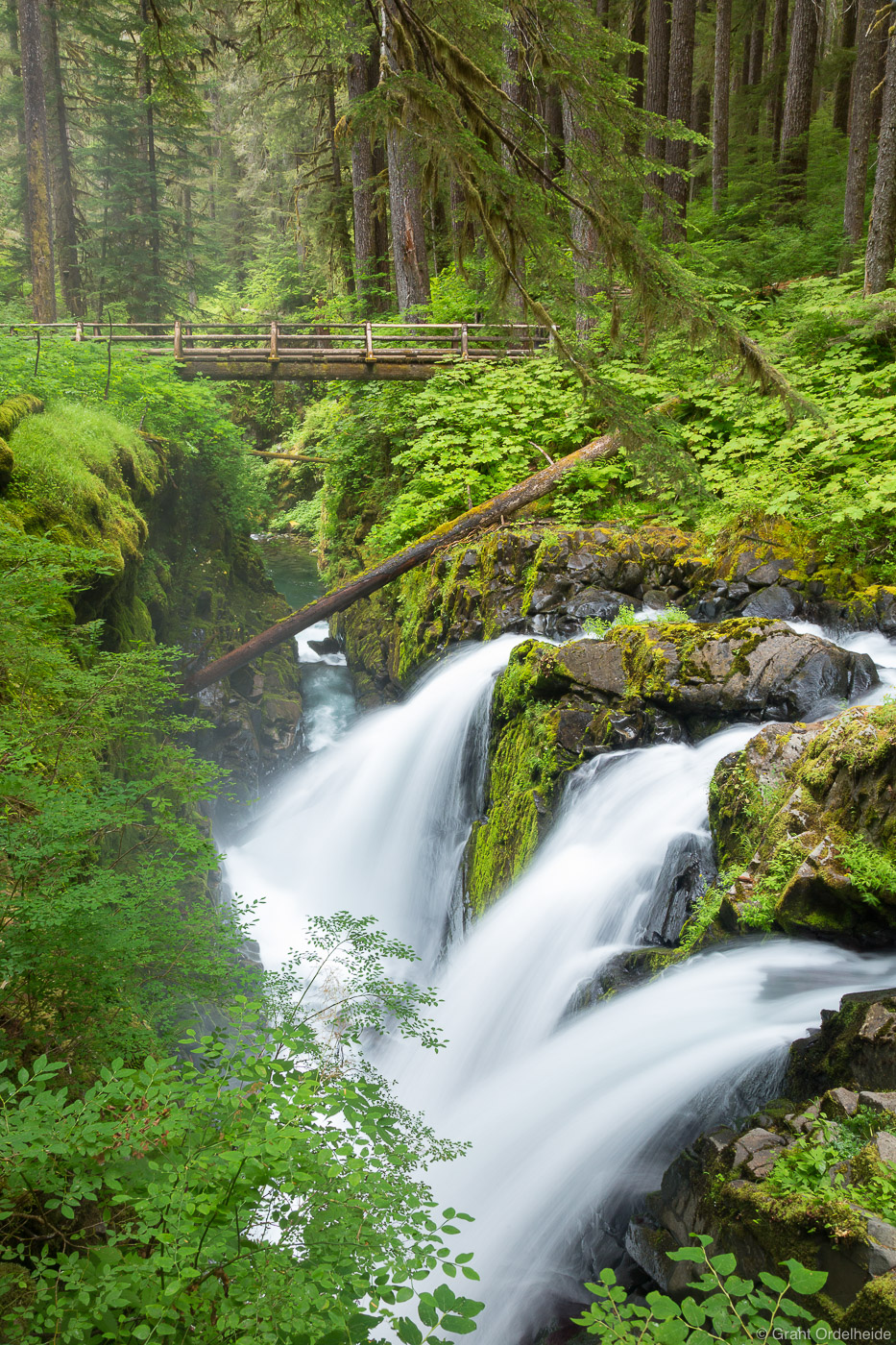 Sol Duc Falls Olympic National Park Washington Grant Ordelheide