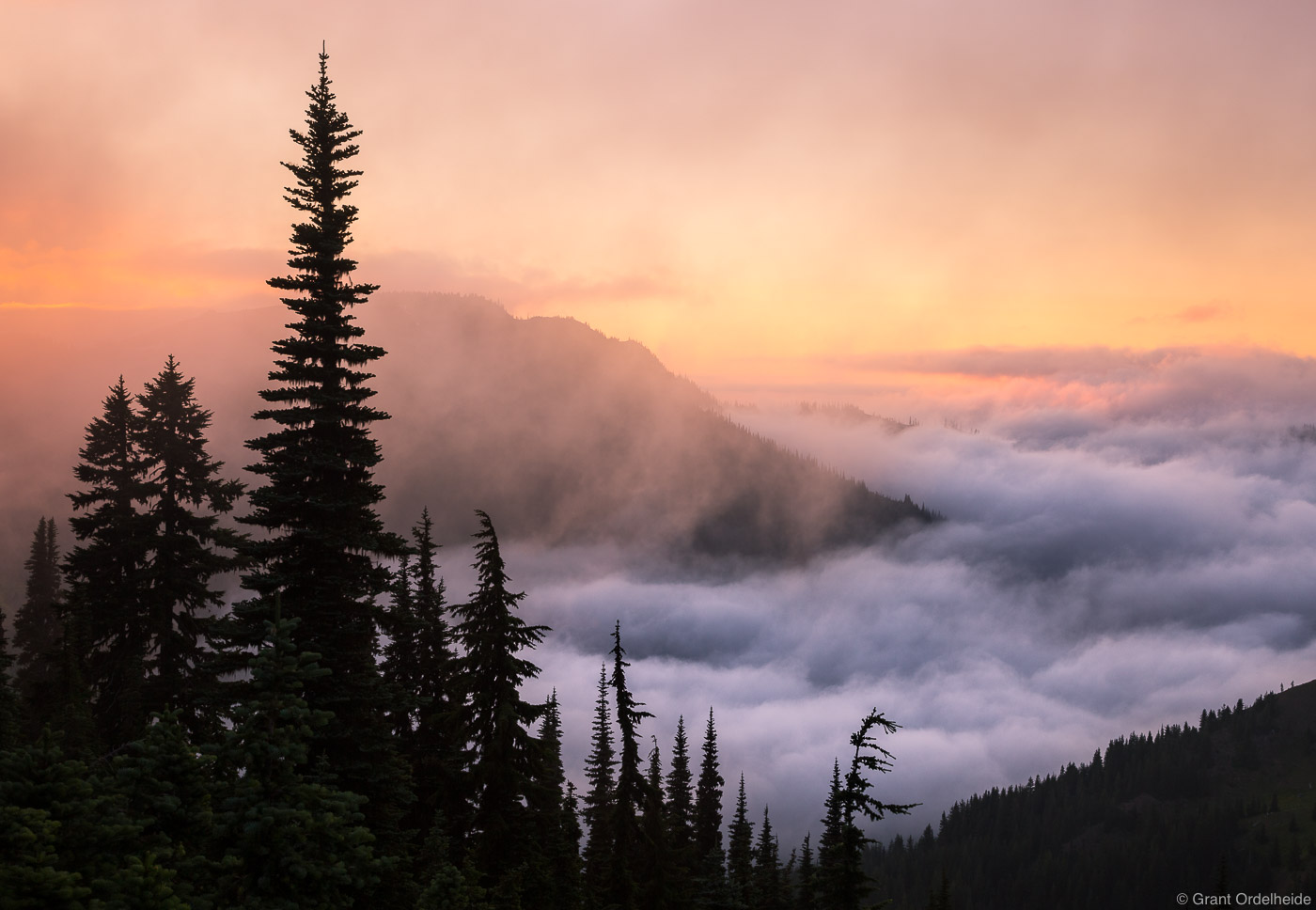 Sunset over a foggy valley from Hurricane Ridge in Washington's Olympic National Park.