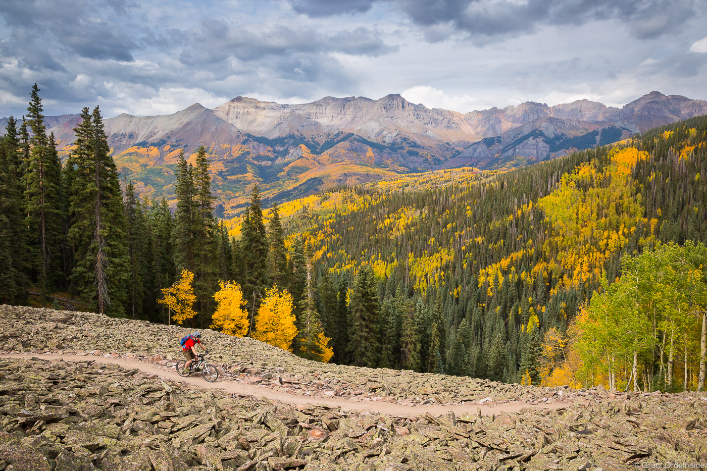 A mountain biker on a trail high above the town of Telluride during Colorado's peak fall color season.