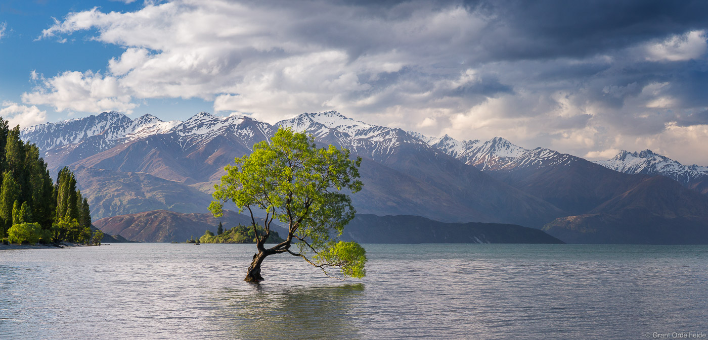 A lone tree in Lake Wanaka near the town of Wanaka in New Zealand.