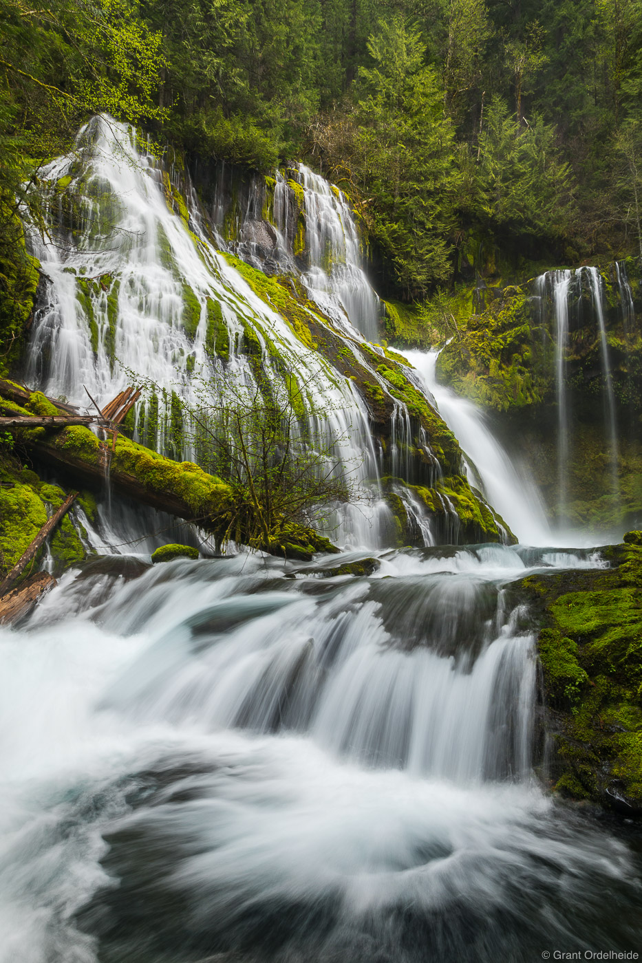Panther Creek Falls near the Columbia River Gorge in Washinton State.