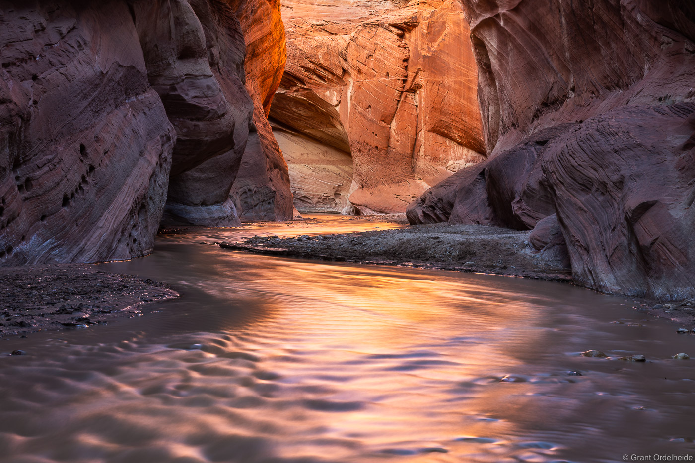 Refelcted light on the Paria River deep in Utah's Paria Canyon.