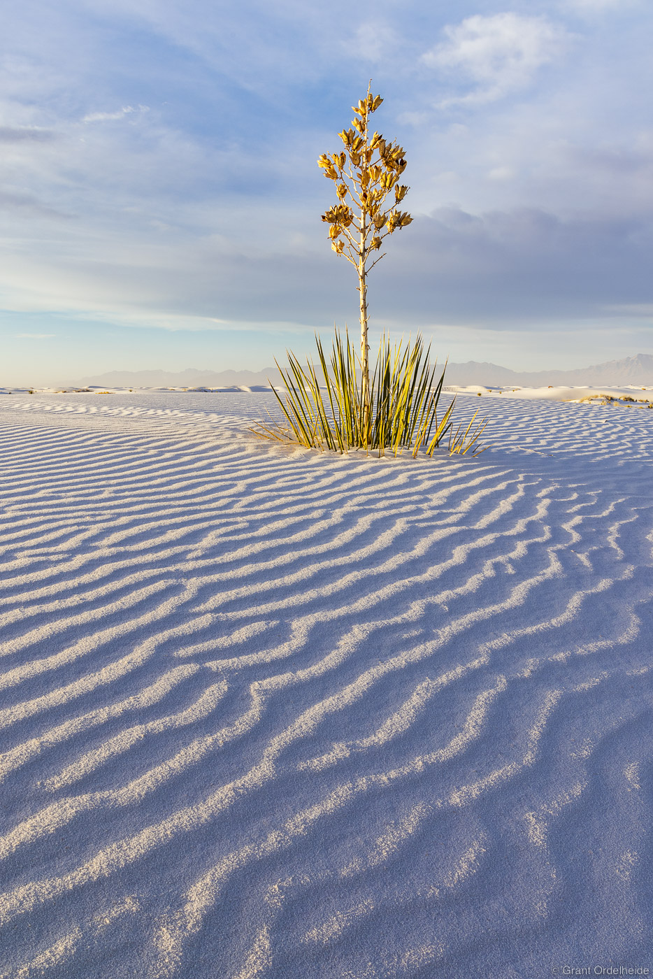 Early morning light across the dunes in New Mexico's White Sands National Park.