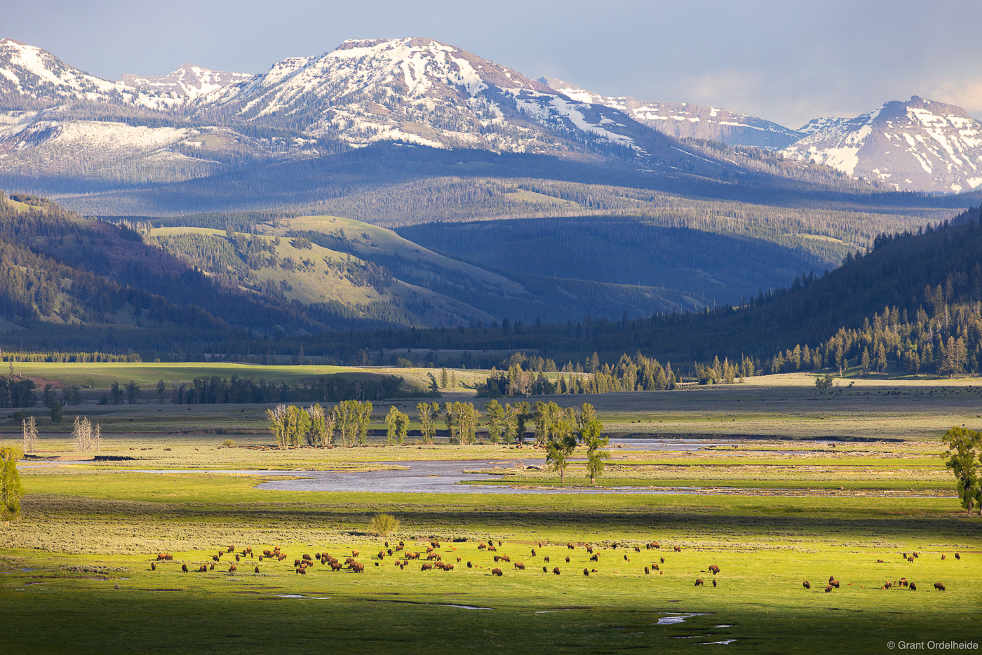 Lamar Valley Yellowstone National Park Wyoming Grant Ordelheide 