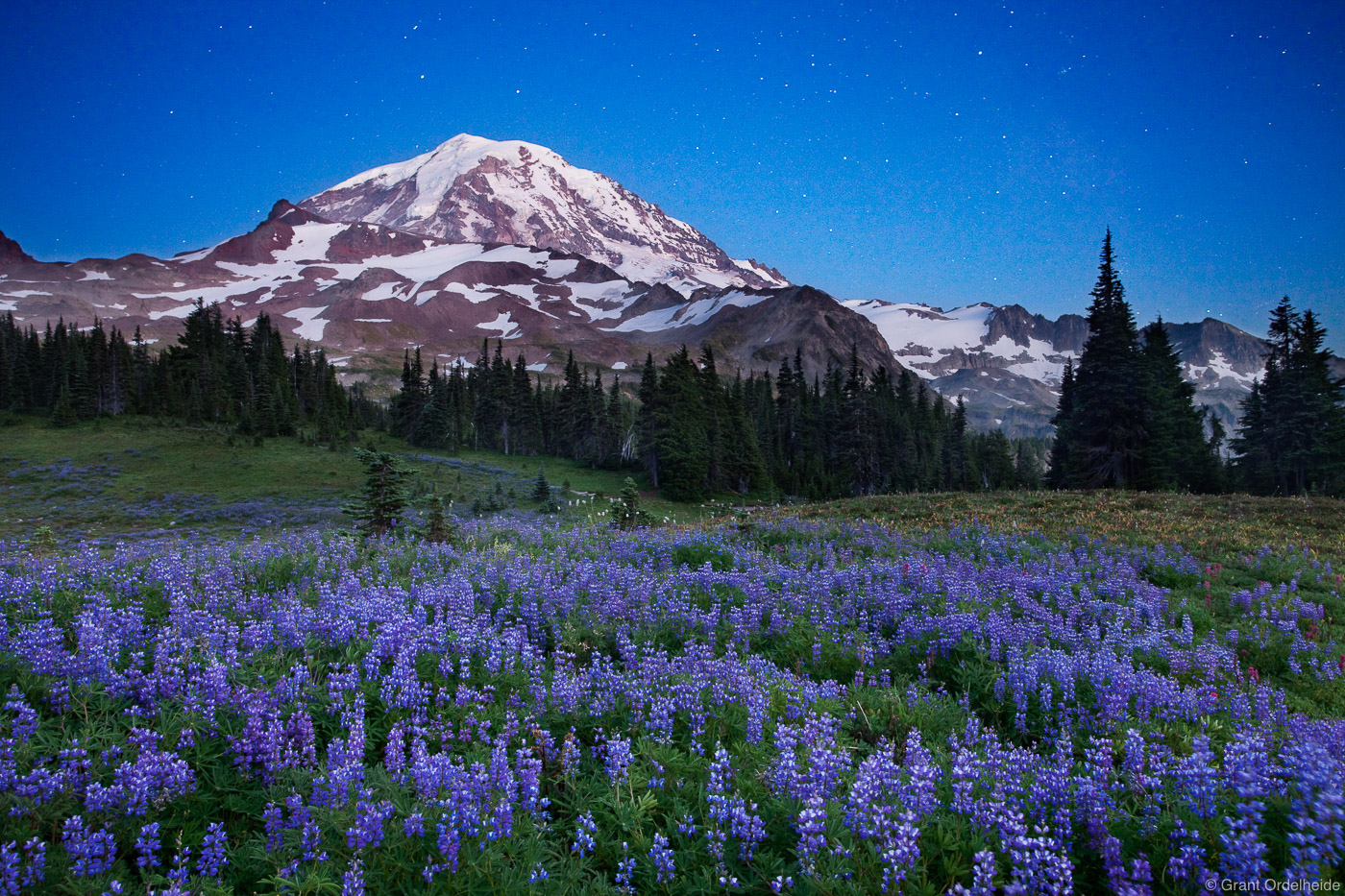 Twilight stars and lupine during a peaceful evening at Spray Park in Mt. Rainier National Park.