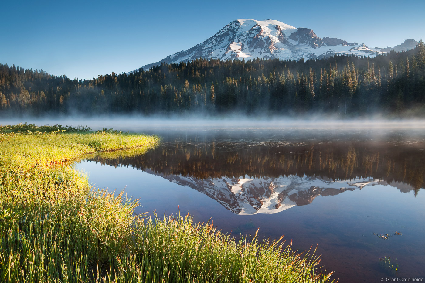 Early morning light on the grass of Reflection Lakes near Paradise in Mt. Rainier National Park.